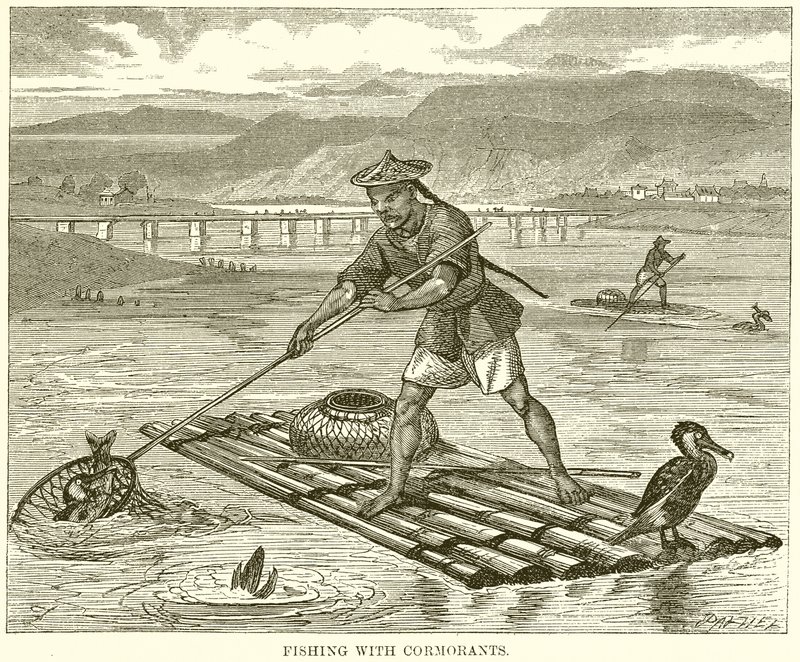 Pesca con Cormoranes de English School