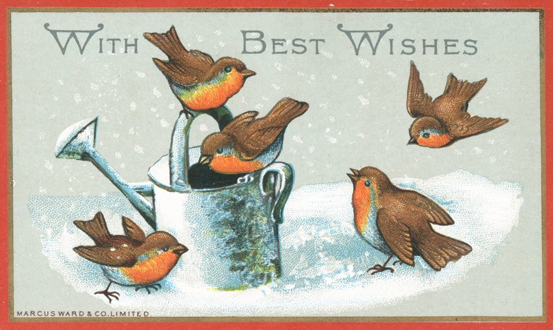 Cinco petirrojos y regadera, tarjeta de Navidad de English School