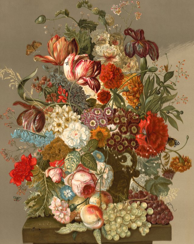 Exhibición floral de English School