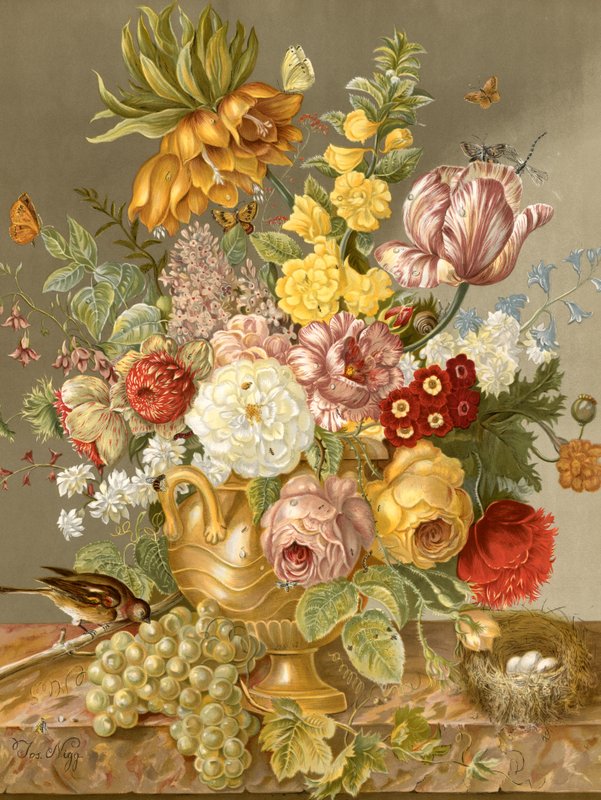 Exhibición floral de English School