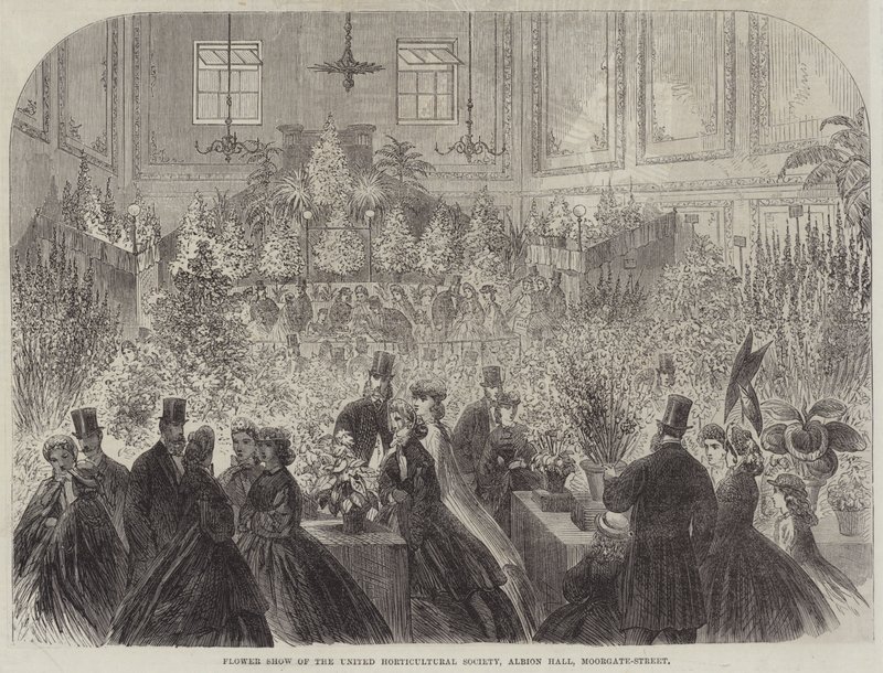 Exposición de flores de la Sociedad Horticultural Unida, Albion Hall, Moorgate-Street de English School