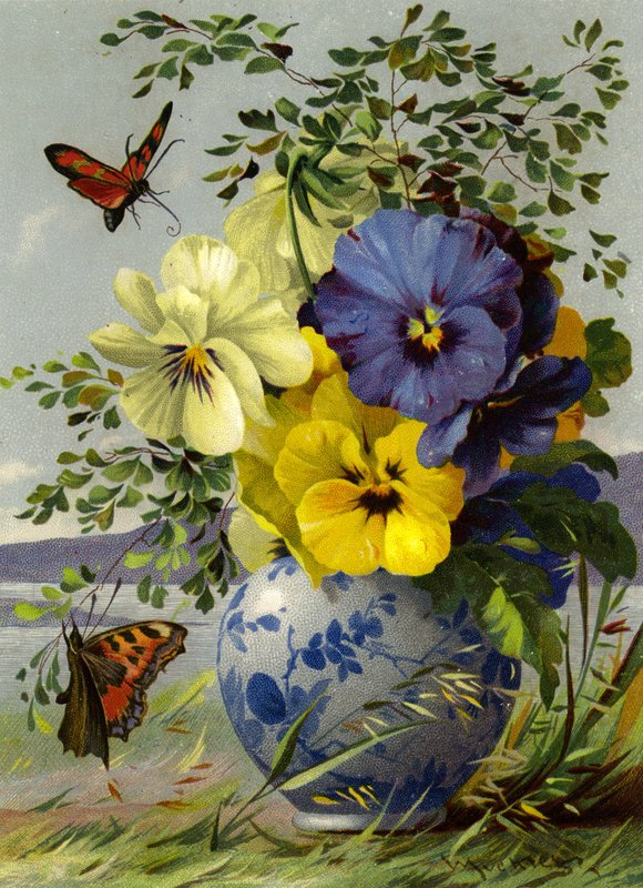 Flores y mariposa de English School