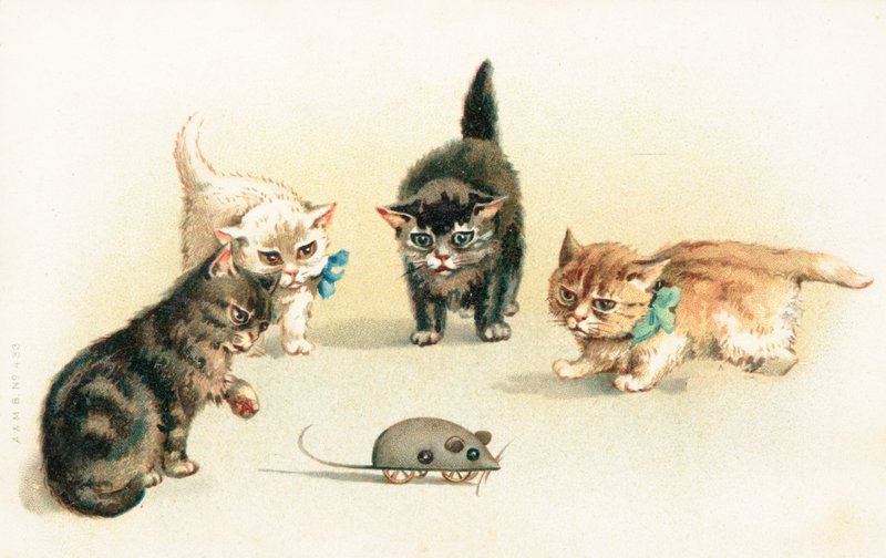 Cuatro gatitos jugando con un ratón de cuerda de English School