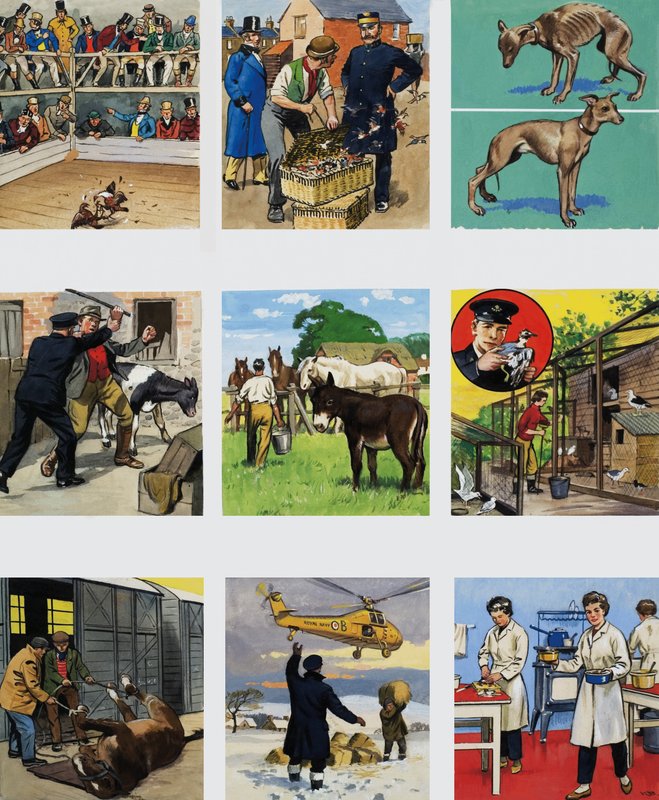 Desde entonces hasta ahora: La historia de la RSPCA de English School