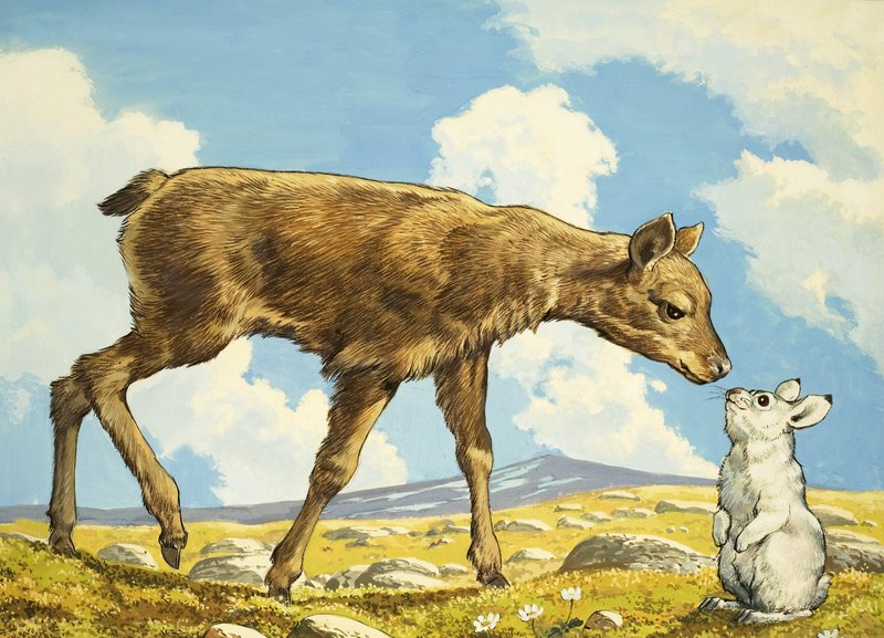 Gacela y conejo de English School