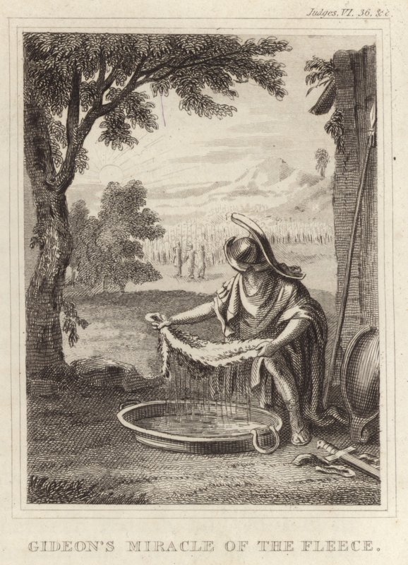 El Milagro del Vellón de Gedeón de English School