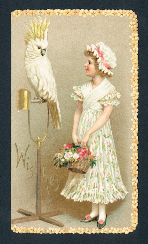 Niña y periquito, tarjeta de Navidad de English School