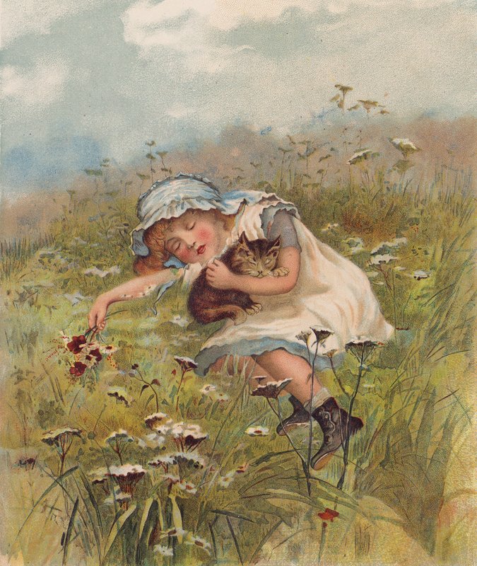 Niña y gato dormidos en un campo (cromolito) de English School