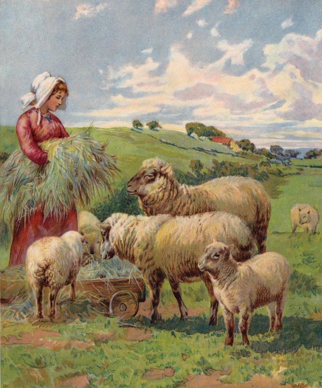 Niña alimentando ovejas (litografía en color) de English School