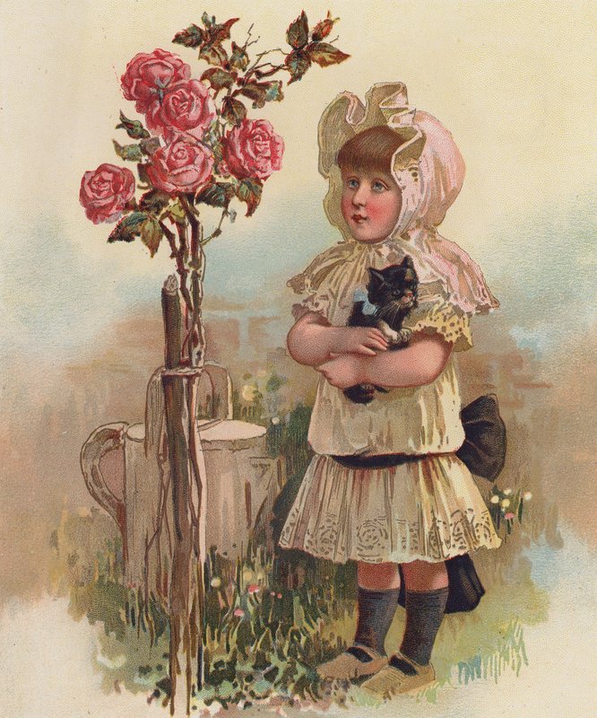 Niña con gato y rosal (cromolito) de English School