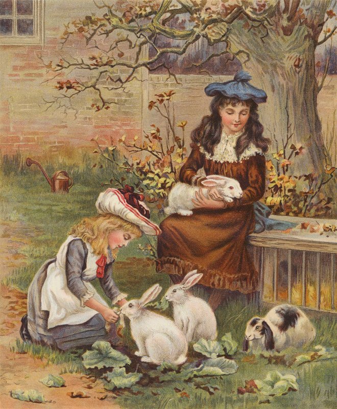 Niñas cuidando de sus conejos (cromolito) de English School