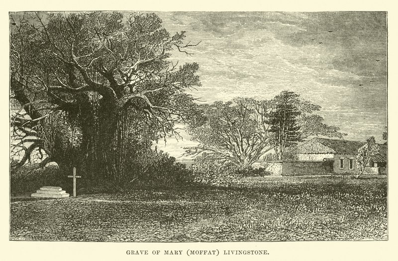 Tumba de Mary (Moffat) Livingstone de English School