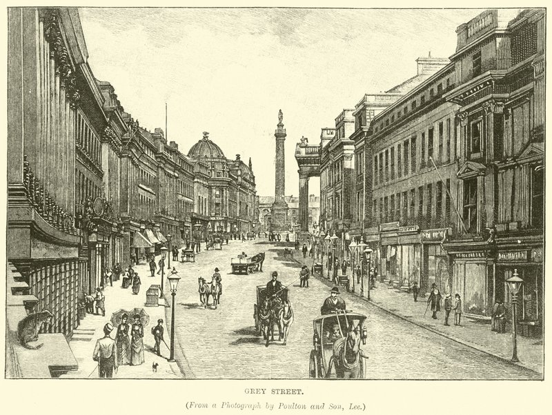 Calle Grey de English School
