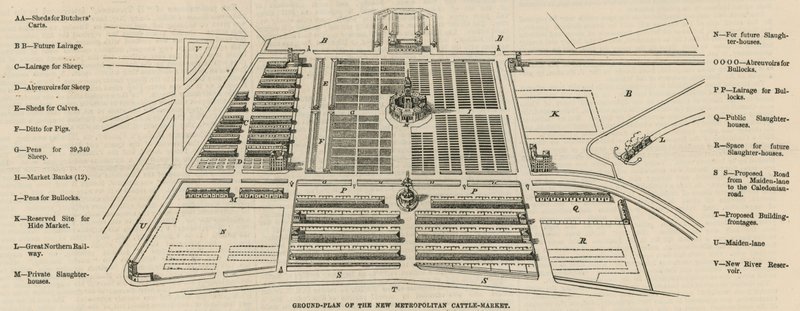 Plano del nuevo Mercado de Ganado Metropolitano, Campos de Copenhague de English School