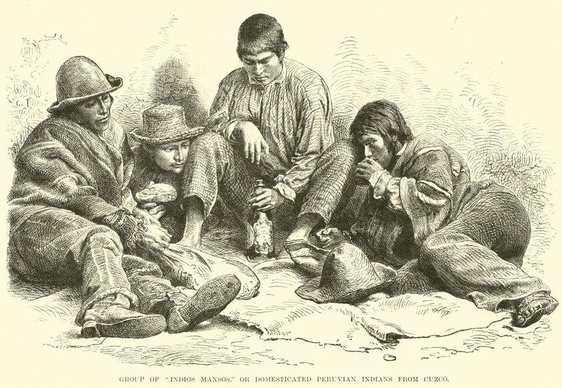 Grupo de Indios Mansos, o indios peruanos domesticados de Cuzco de English School