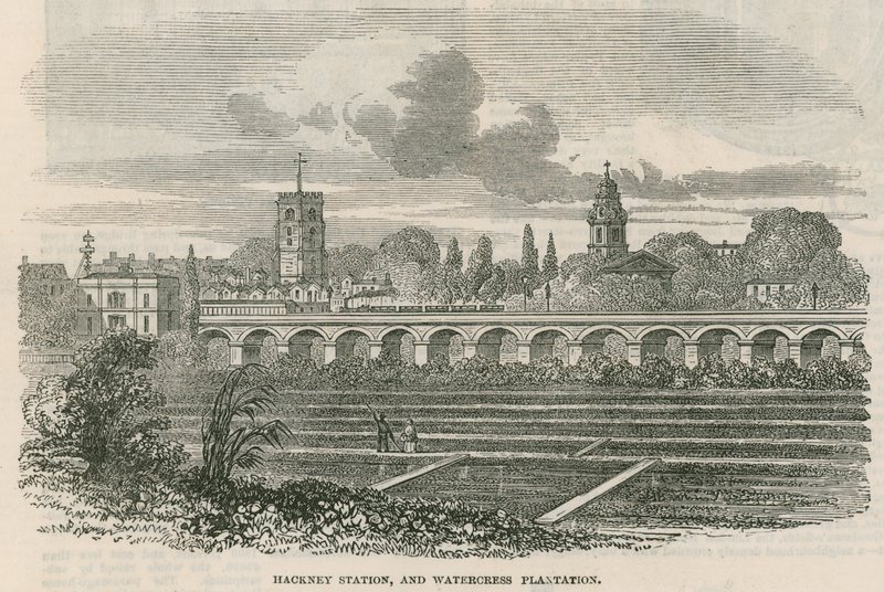 Estación de Hackney y plantación de berros, Londres de English School