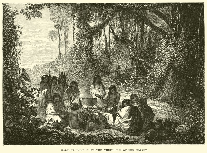 Parada de indios en el umbral del bosque de English School