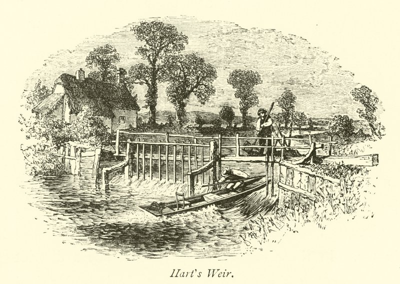 Azud de Harts de English School