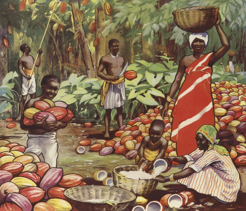 Cosecha de cocos (litografía en color) de English School