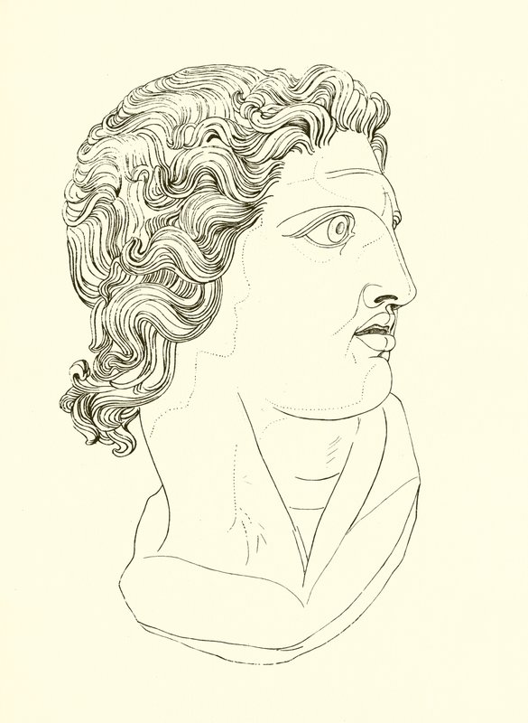 Cabeza, mostrando vigor masculino y resolución heroica de English School