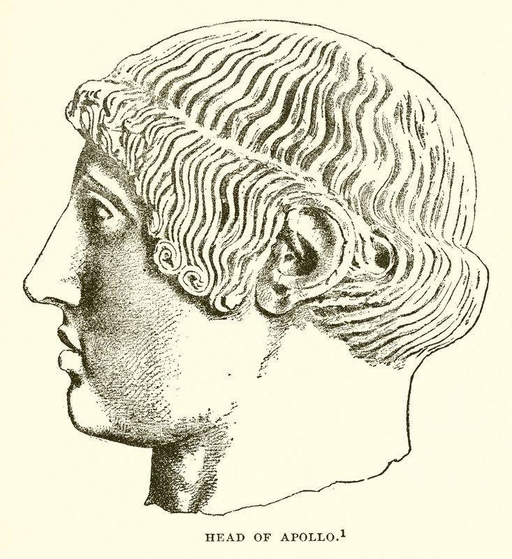 Cabeza de Apolo de English School