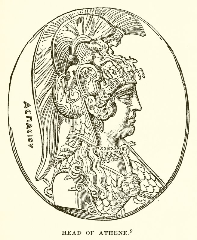 Cabeza de Atenea de English School