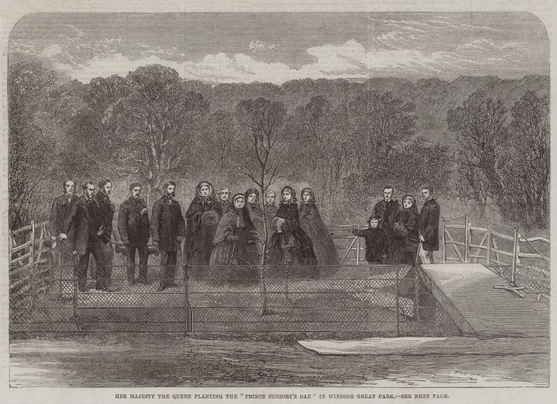 Su Majestad la Reina plantando el "Roble del Príncipe Consorte" en Windsor Great Park de English School