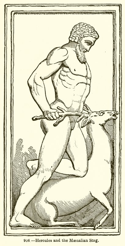 Hércules y el ciervo de Maenalia de English School