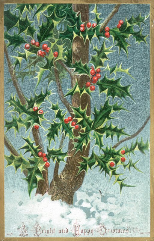 Árbol de acebo, tarjeta de Navidad de English School