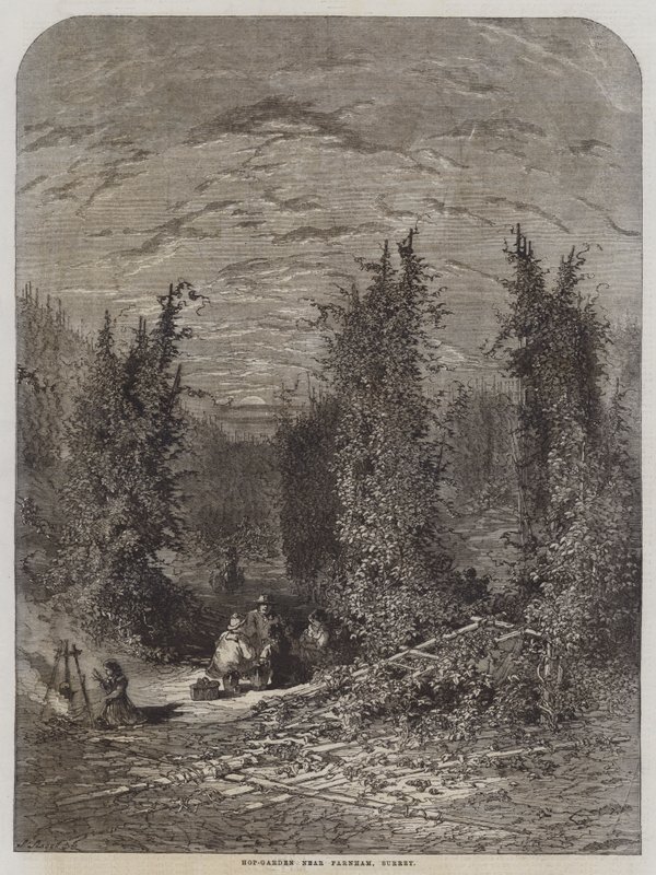 Jardín de Lúpulo cerca de Farnham, Surrey (grabado) de English School