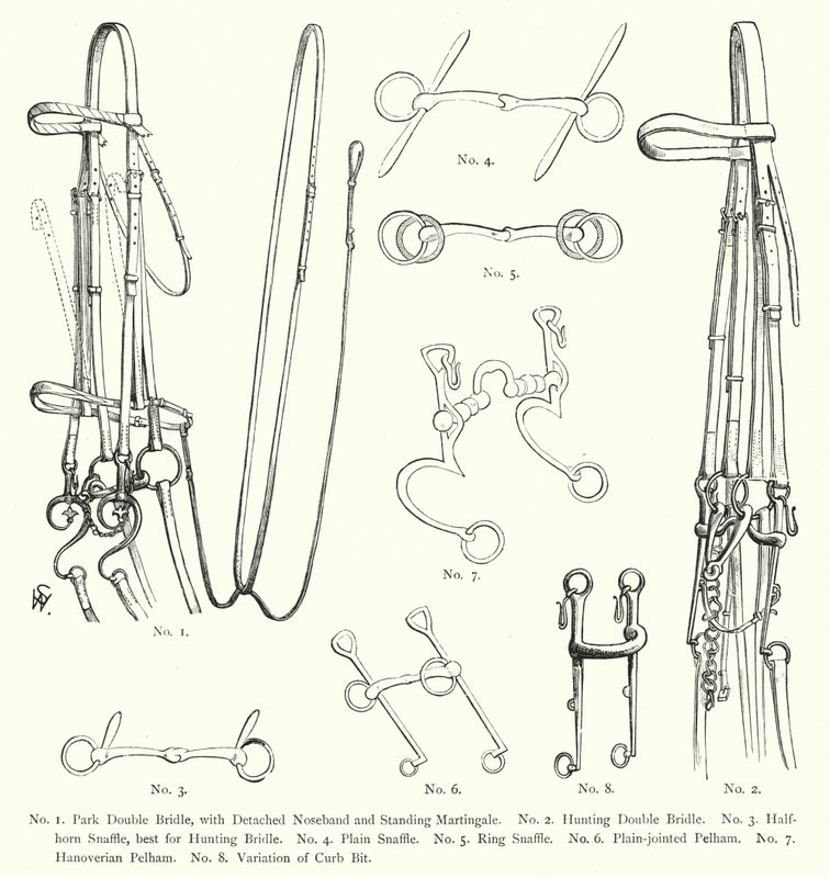 Bridas de caballo de English School