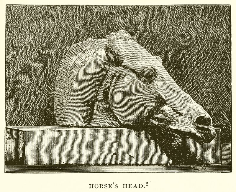 Cabeza de Caballo de English School