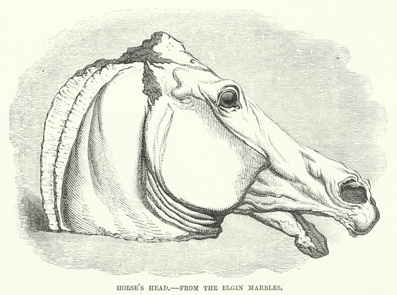 Cabeza de Caballo, de los Mármoles de Elgin de English School