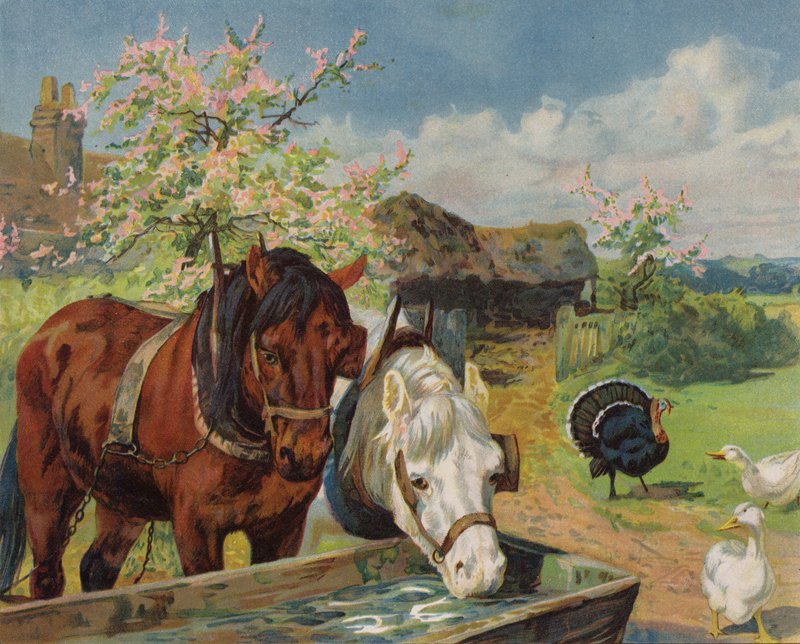 Caballos bebiendo de un abrevadero de English School