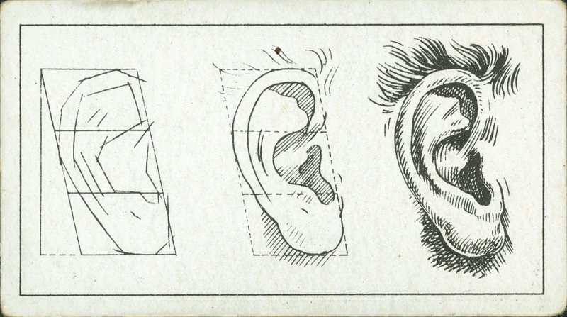 Cómo dibujar: La oreja (litografía) de English School