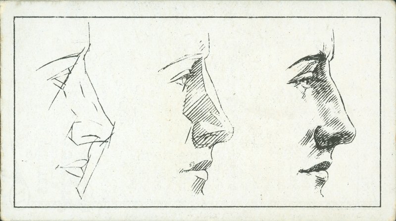 Cómo dibujar: La nariz (litografía) de English School