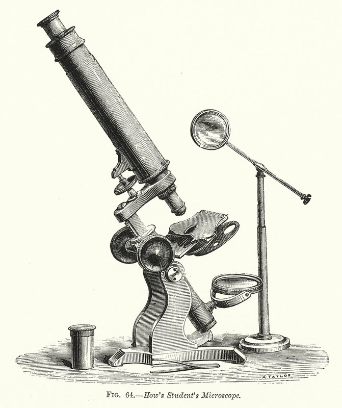 Microscopio How