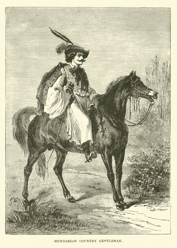 Caballero rural húngaro de English School