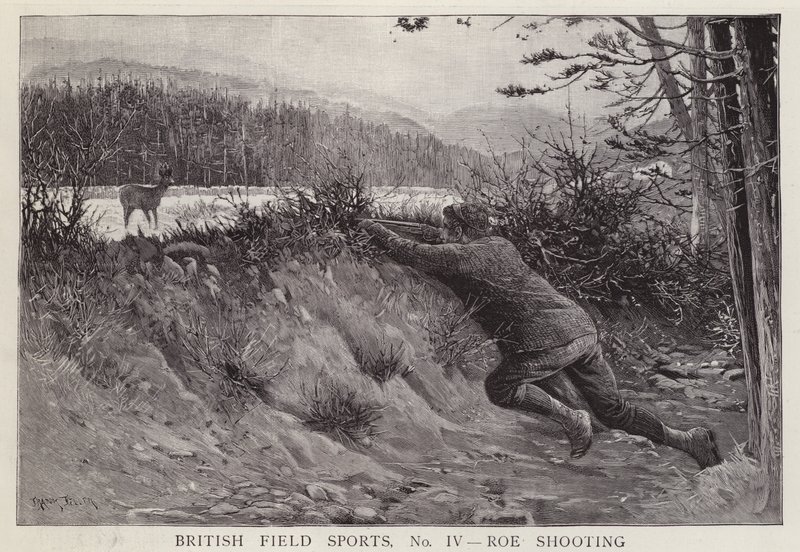 Cazador disparando a un corzo de English School