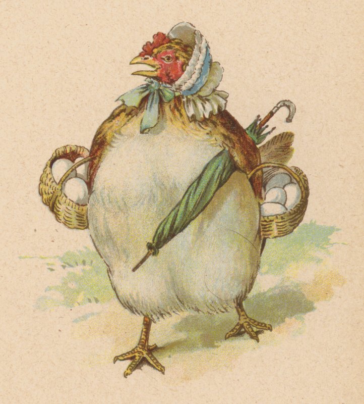 Tenía una gallina pequeña, la más bonita que jamás se haya visto de English School