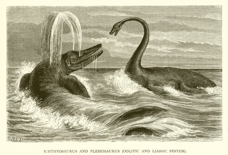 Ichthyosaurus y Plesiosaurus, Sistema Oolítico y Liásico de English School