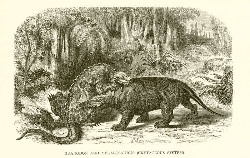 Iguanodon y Megalosaurus, Sistema Cretácico de English School