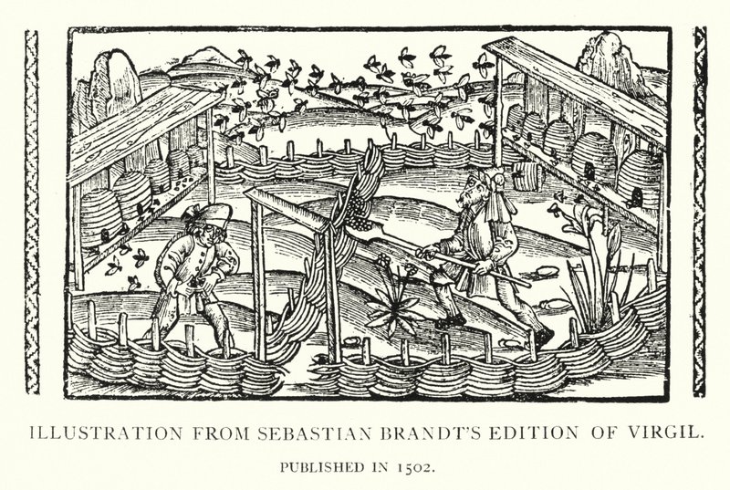 Ilustración de la Edición de Virgilio de Sebastian Brandt, publicada en 1502 (lito) de English School