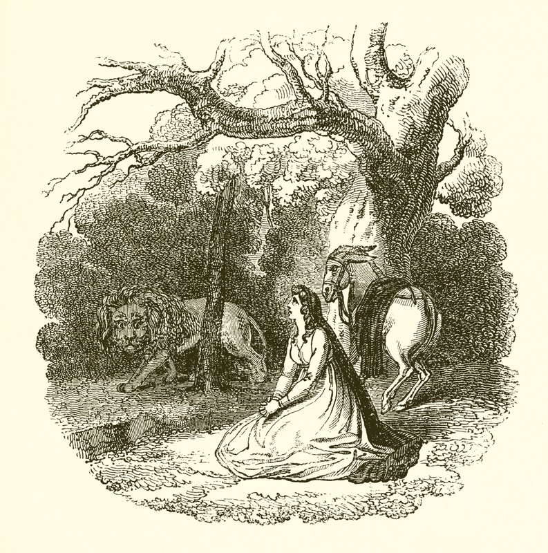 Ilustración de la Reina de las Hadas de English School