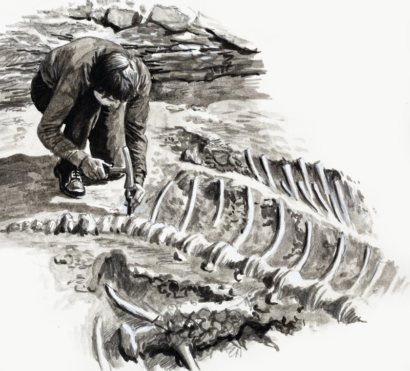 En los días de los dinosaurios: Batalla de los gigantes de English School