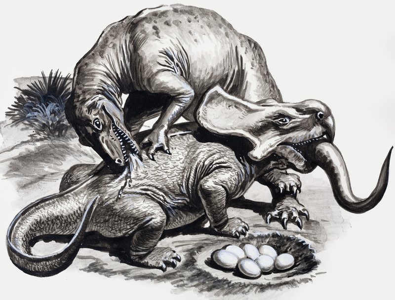 En los días de los dinosaurios: Descubrimiento en el desierto de English School