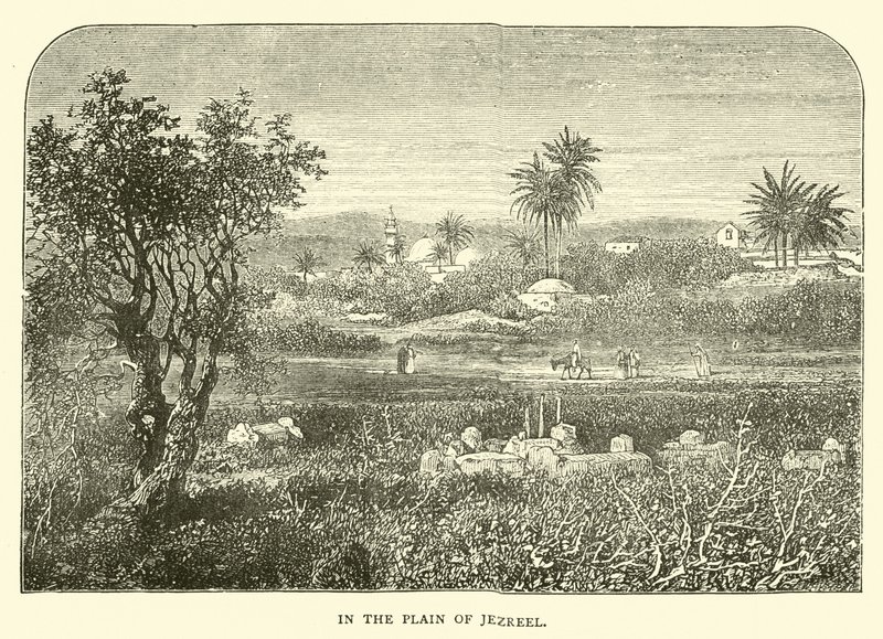 En la llanura de Jezreel de English School
