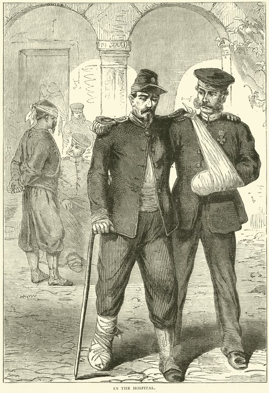 En el hospital, noviembre 1870 de English School