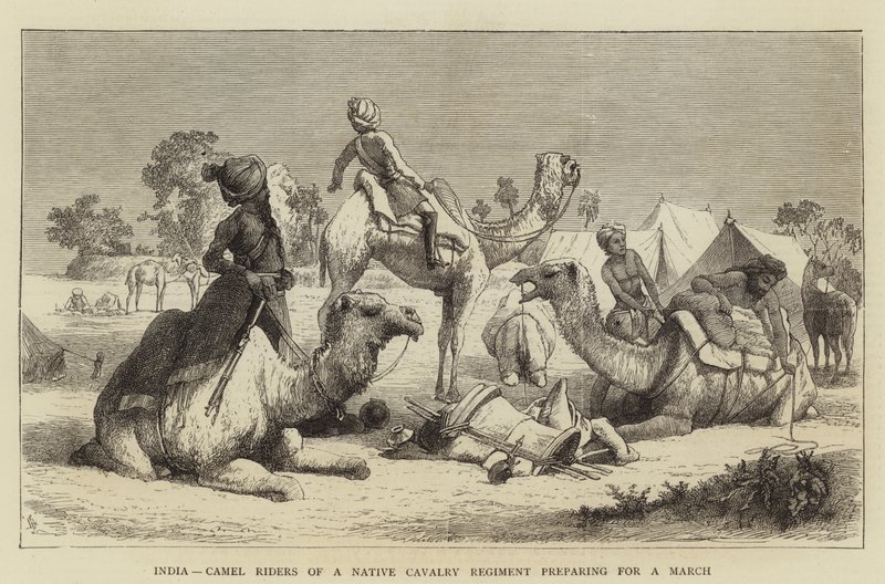 India, jinetes de camellos de un regimiento de caballería nativa preparándose para una marcha de English School