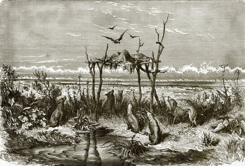 Sepulcro indio en la pradera de hierba alta, en el río Saskatchewan de English School